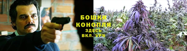 молекула духа Жердевка