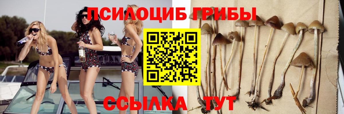 Галлюциногенные грибы MAGIC MUSHROOMS Ноябрьск